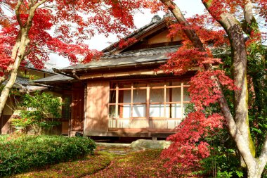 Asya tarzı bahçesi ve evi olan sonbahar arkaplanı.