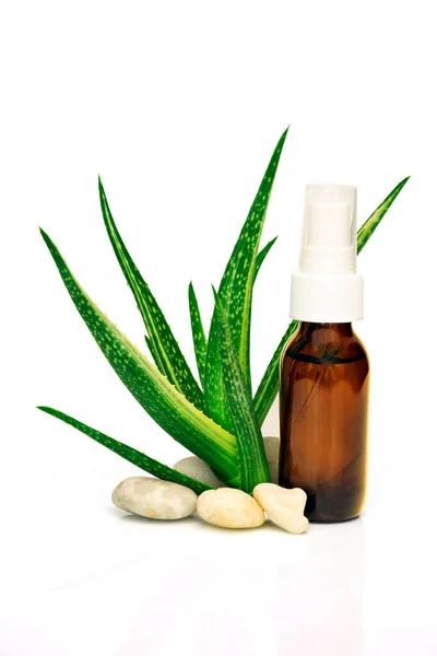 Aloe Vera Pergi Dan Produk Aloe Vera Terisolasi Dengan Latar — Stok Foto