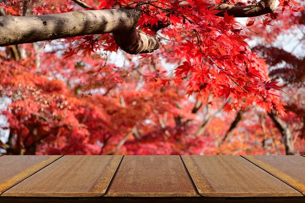 秋には紅葉のモミジが咲き乱れるパースペクティブ ウッドカウンター 製品表示用木製棚写真モンタージュ — ストック写真