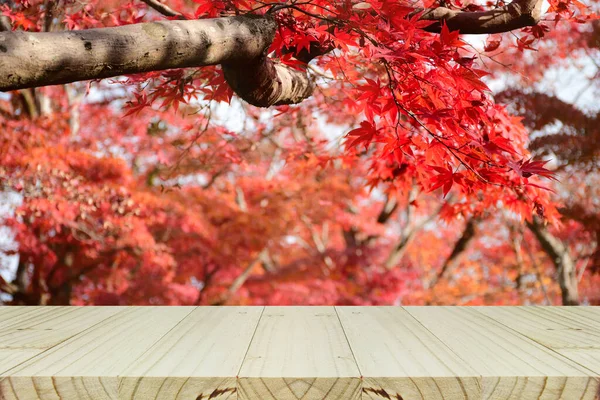 Προοπτική Ξύλινο Πάγκο Πλήρως Κόκκινο Ιαπωνικό Κήπο Σφενδάμου Φθινόπωρο Μοντάζ — Φωτογραφία Αρχείου