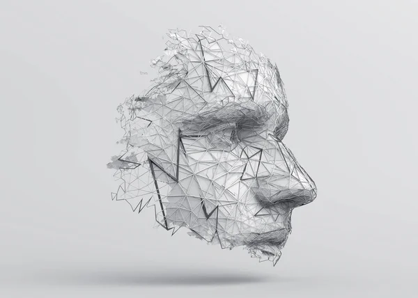 Abstrakcyjny 3D Render wielokątne ludzkiej twarzy — Zdjęcie stockowe