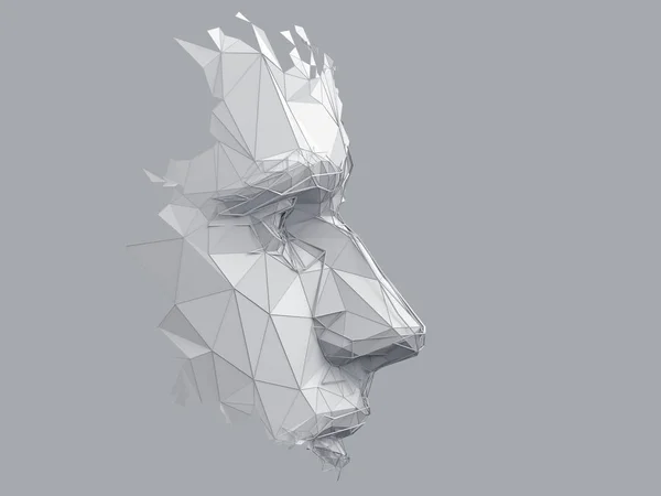 Abstraktní prostorové vykreslení polygonální lidské tváře — Stock fotografie