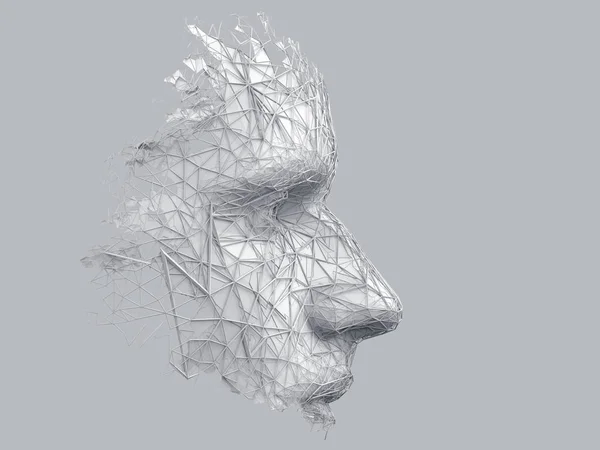 Abstrakt 3D Render av Polygonal mänskligt ansikte — Stockfoto