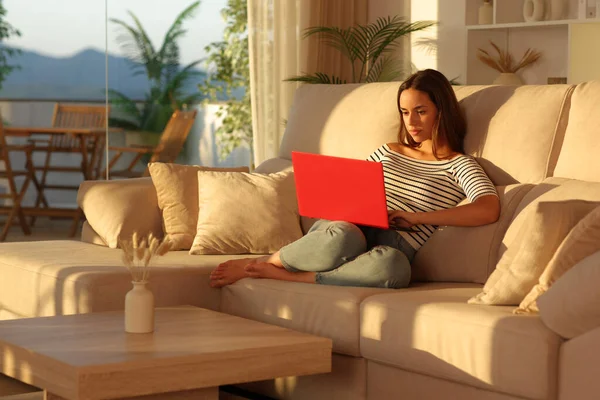 Gün batımında kırmızı dizüstü bilgisayar kullanan ciddi bir kadın.