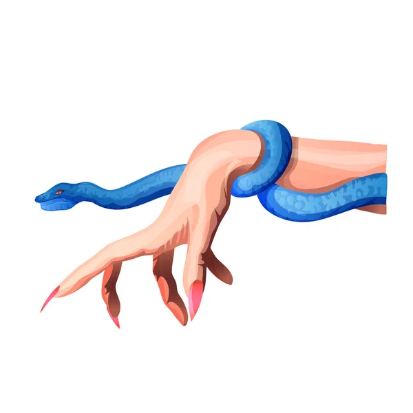 Weibliche Hand Mit Langen Nägeln Und Einer Schlange Schlange Den — Stockvektor