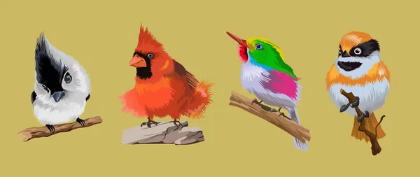 Parlak tropikal nadir kuşlarla dolu. Çok renkli tropikal parlak kuşlar. Gökkuşağı kuşu, büyük püskül, kırmızı göğüs. Koleksiyon klorofülü dalda oturan sevimli kuşlar. Vektör illüstrasyonu. İzole edilmiş. — Stok Vektör