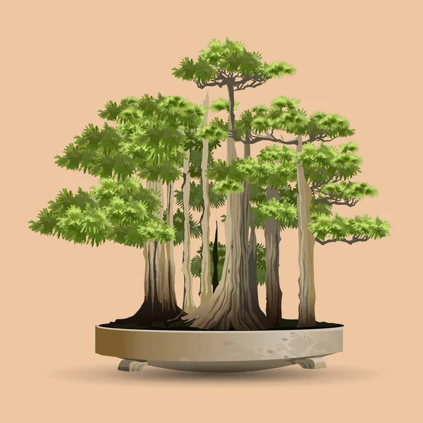 Bel arbre réaliste. Arbre dans le style bonsaï. Bonsaï sur le pot bas. Petite illustration décorative vectorielle d'arbre. Art naturel — Image vectorielle