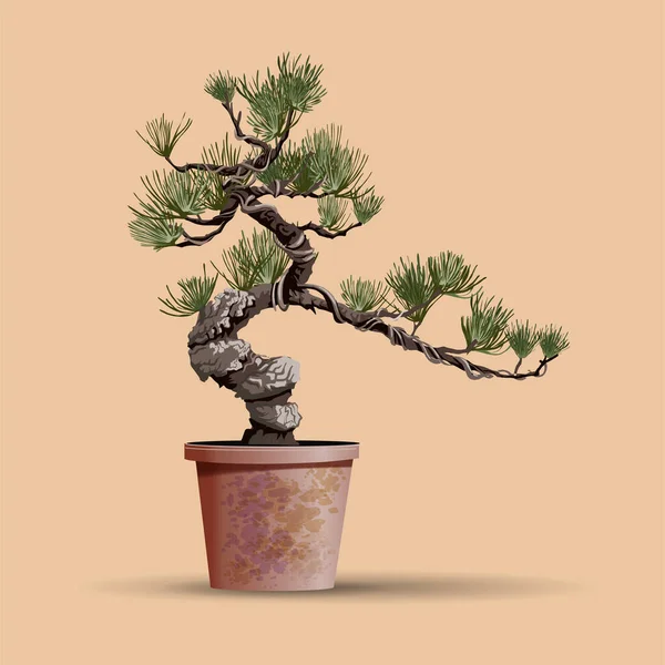 Hermoso árbol realista.Árbol en estilo bonsái. Bonsái árbol con inusual tronco retorcido en la olla redonda baja. Ilustración decorativa de vectores de árboles. Arte de la naturaleza — Vector de stock