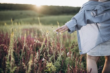 gün batımında çayırda el değen alan flowerl