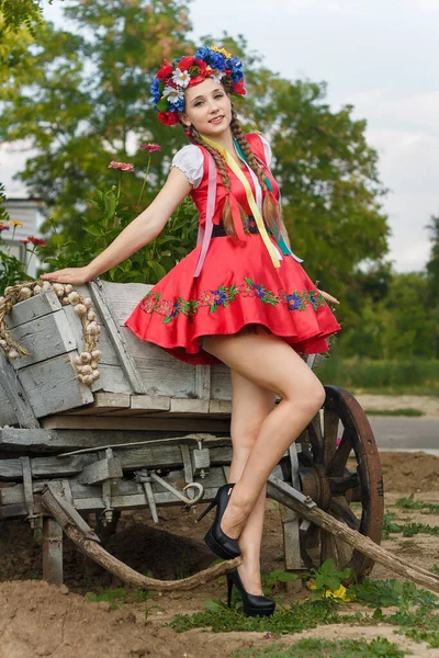 Chica Con Dos Trenzas Vestido Rojo Tradicional Ucraniano Flores Corona —  Fotos de Stock