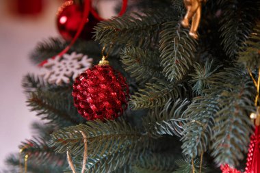 Üzerinde kırmızı ampuller ve koniler bulunan firavun ağacı dalları ve süsler... Mutlu Noeller, mutlu yıllar ve kış tatili konsepti.