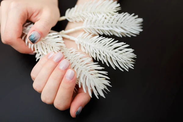 Руки Женщины Маникюром Елового Леса Белыми Искусственными Еловыми Ветвями Черном — стоковое фото