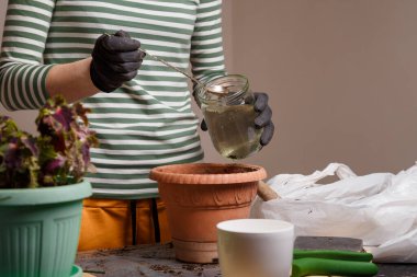 Tohumların ekildiği saksıda toprağı sulayan kadın. Ev yapımı yeşillik ve çiçek bakım konsepti. Boşluğu kopyala.