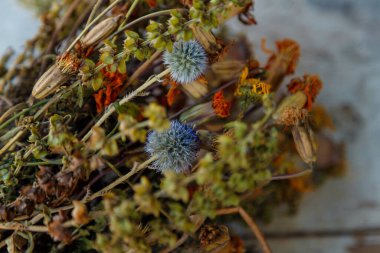 Kırsal mavi arka planda çay için kurutulmuş şifalı bitkiler..