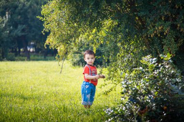 Yeşil parkta küçük bir çocuk yapraklara dokunuyor. Tasasız çocukluk ve açık hava yaz tatili konsepti.