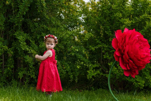 Kırmızı Elbiseli Küçük Kız Yeşil Çimlerde Oynuyor Arka Planda Yüksek — Stok fotoğraf