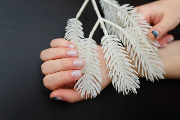 Жіночі Руки Ялинковим Лісовим Манікюром Тримає Білу Штучну Гілку Ялиці — стокове фото