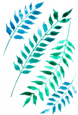 Mavi yeşil ve turkuaz yapraklar, beyaz arkaplanda elle çizilmiş suluboya elementler