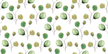 Beyaz arkaplanda yeşil okaliptüs suluboya yaprakları, el çizimi