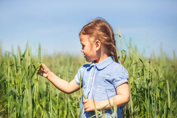 küçük kız güneşli bir günde alanında oynuyor