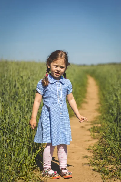 Niña Está Jugando Campo Día Soleado —  Fotos de Stock