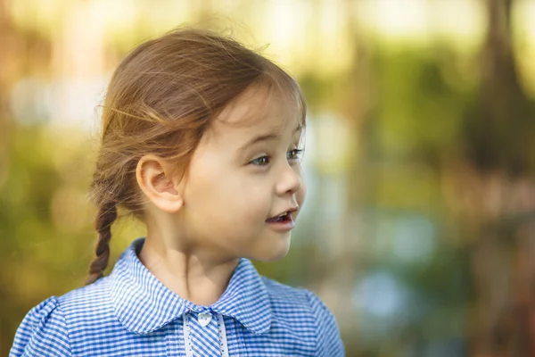 Retrato Una Niña Con Coletas Naturaleza Emociones —  Fotos de Stock