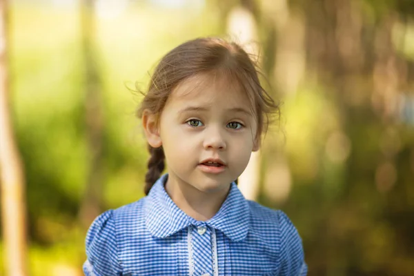 Портрет Маленької Дівчинки Кісками Природі Емоції — стокове фото