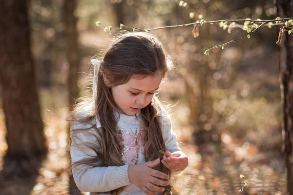 Маленька Дівчинка Природі Оглядає Рослини — стокове фото