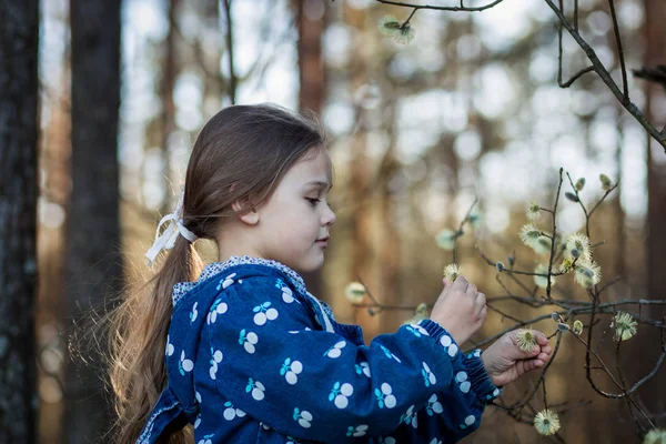 Kis Lány Természetben Vizsgálja Növények — Stock Fotó