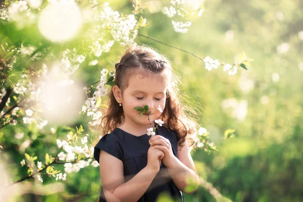 Маленька Дівчинка Саду Квітучими Деревами — стокове фото