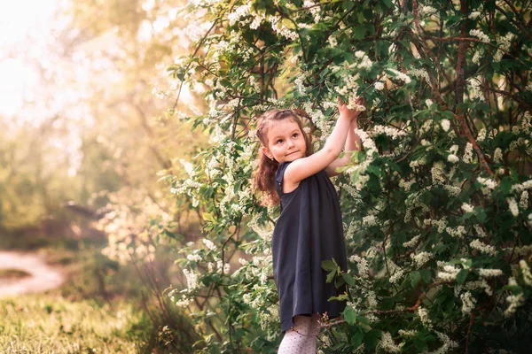 Liten Flicka Trädgården Med Blommande Träd — Stockfoto