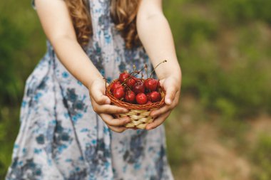 bir çocuğun elinde kiraz sepeti