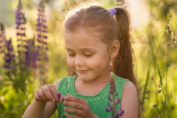 Flicka Och Lupine Blomma Naturen — Stockfoto