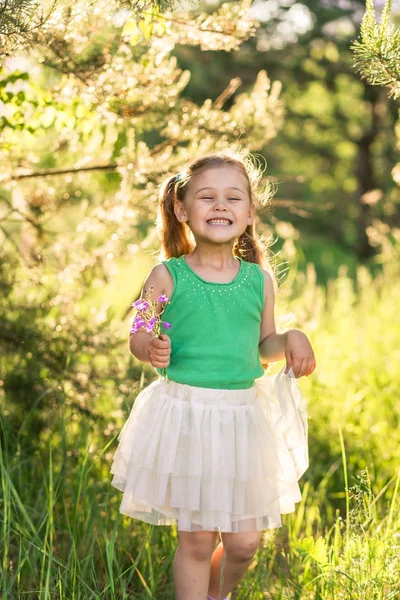 Liten Flicka Med Långt Hår Klänning Naturen Sommaren — Stockfoto