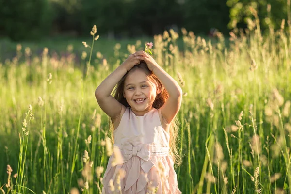 Маленька Дівчинка Довгим Волоссям Красивій Сукні Природі Влітку — стокове фото