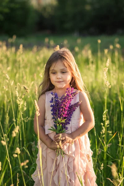 Flicka Och Lupine Blomma Naturen — Stockfoto