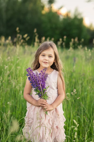 Flicka Och Lupine Blomma Naturen — Stockfoto