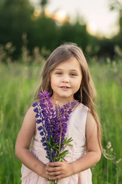 Flicka Och Lupine Blomma Naturen — Stockfoto