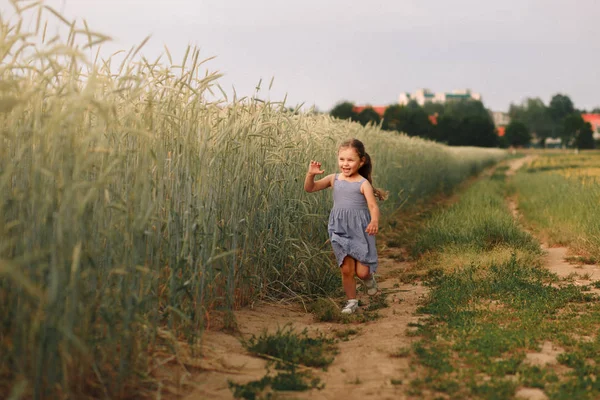 Маленькая Девочка Бегает Пшеничному Полю Летом — стоковое фото