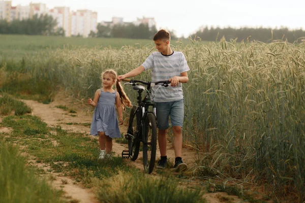 Брат Сестра Едут Велосипеде Пшеничному Полю — стоковое фото