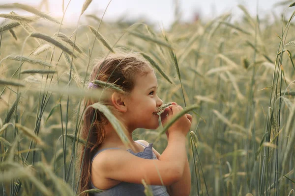 Портрет Маленькой Девочки Пшеничном Поле Летом — стоковое фото