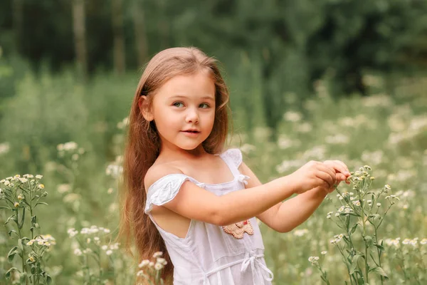 Маленька Дівчинка Білій Сукні Літньому Лузі — стокове фото