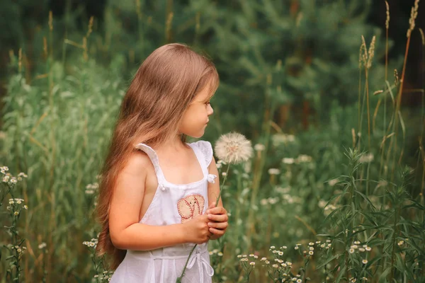Маленька Дівчинка Великою Кульбабою Природі Влітку — стокове фото
