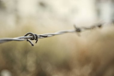 Keskin metal dikenli teller