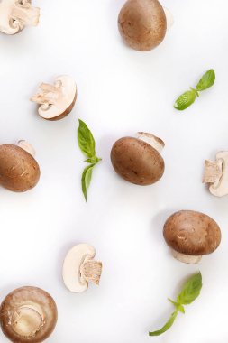 Beyaz Vackground 'da kahverengi şampiyonlar. Üst görünüm