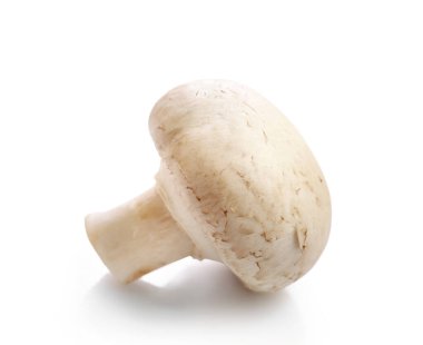 Beyaz arka planda izole edilmiş beyaz şampiyon