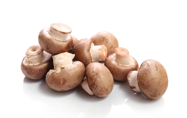 Bruine champignons geïsoleerd op witte achtergrond — Stockfoto