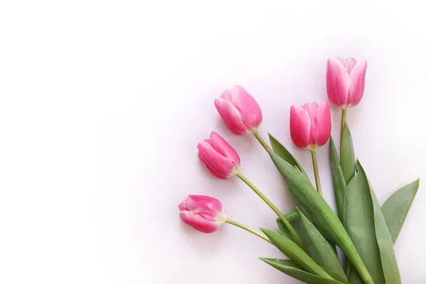 Różowe Tulipany Odizolowane Białym Tle Widok Góry — Zdjęcie stockowe