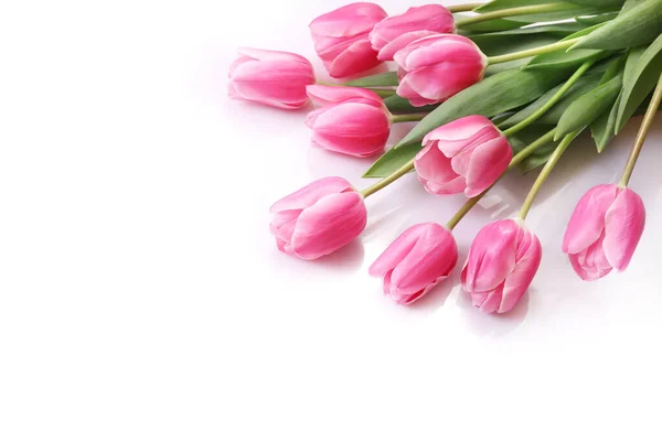 Rosa Tulpen Isoliert Auf Weißem Hintergrund Ansicht Von Oben — Stockfoto