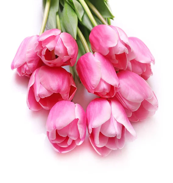 Tulipanes Rosados Aislados Sobre Fondo Blanco —  Fotos de Stock